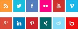 Social Media Icon Set