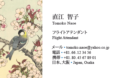 Japanische Visitenkarte: Übersetzung, Design, Druck - id: 1608 | Motiv 4